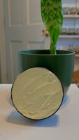 Shea-Loe Skincare TheFlowerPotLLC   