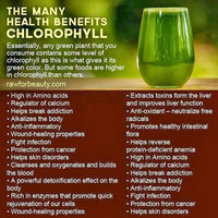 Chlorophyll Drops  TheFlowerPotLLC   
