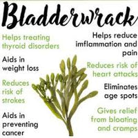 Seamoss Capsules w/ Bladderwrack  TheFlowerPotLLC   