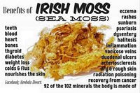Seamoss Capsules w/ Bladderwrack  TheFlowerPotLLC   