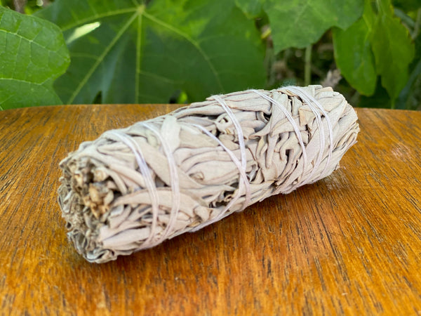 White Sage Smudge Stick  TheFlowerPotLLC   